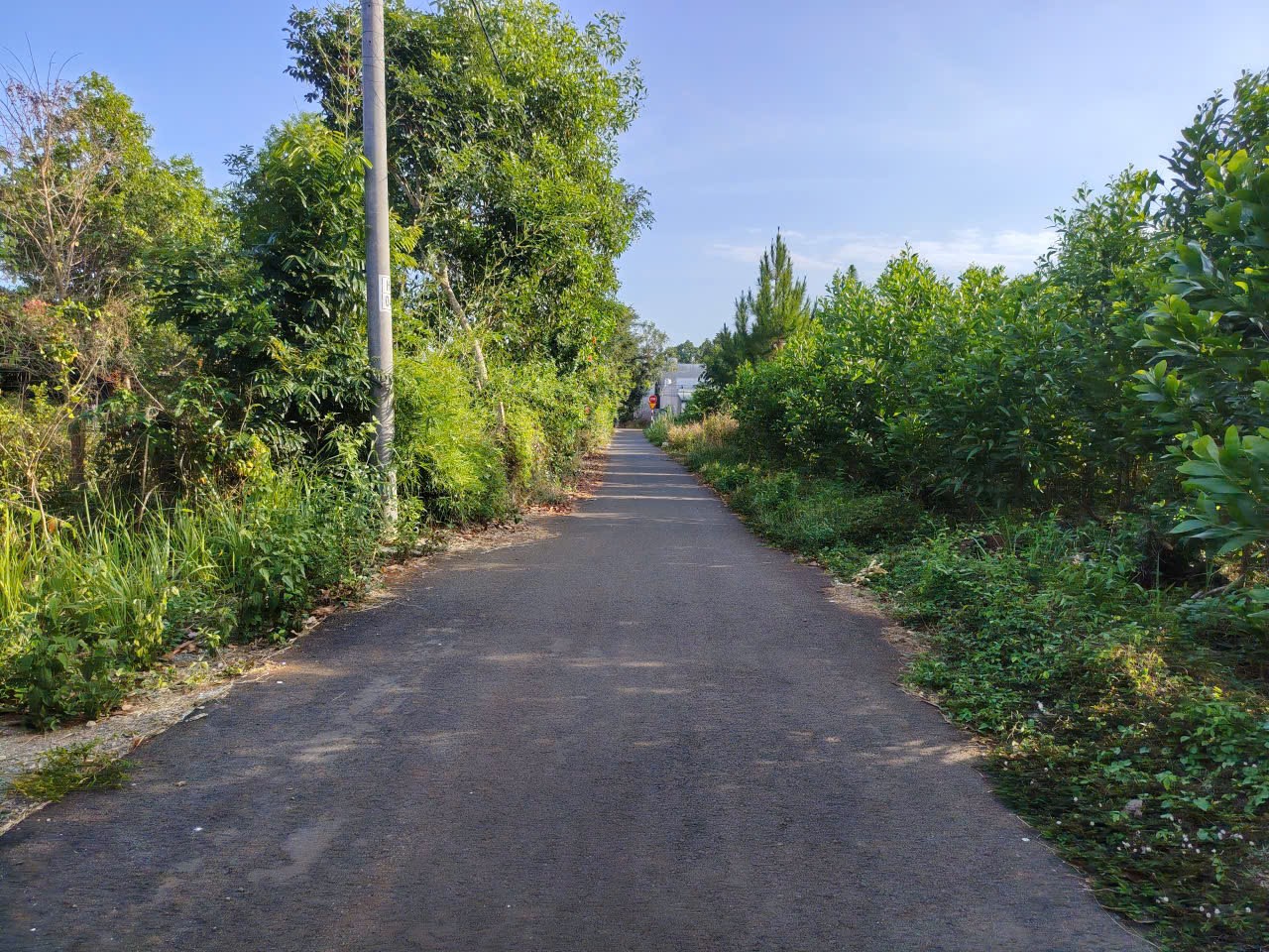 Chính chủ gửi bán nhanh đất đường nhựa nhánh 46, tam long, HCM
