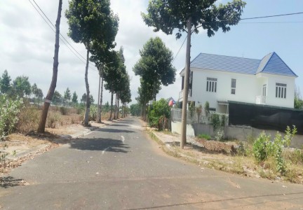 DÒNG TIỀN LỚN ĐẦU TƯ VÀO BIỆT THỰ VÀ ĐẤT NỀN